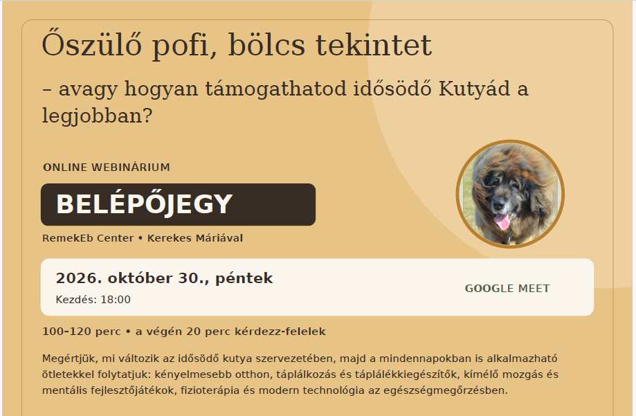Belépőjegy 2026.10.30. Őszülő pofi, bölcs tekintet - avagy miképp támogathatod idősödő Kutyádat a legjobban?