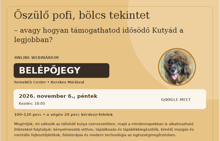 Belépőjegy 2026.11.06. Őszülő pofi, bölcs tekintet - avagy miképp támogathatod idősödő Kutyádat a legjobban?